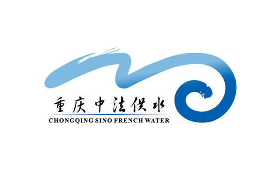 重庆中法供水不锈钢可曲挠减震接头项目案例